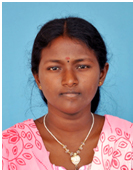 infosys placement photo